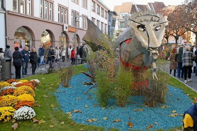 Diskussion um Chrysanthema-Kosten: Das Problem ist die Transparenz