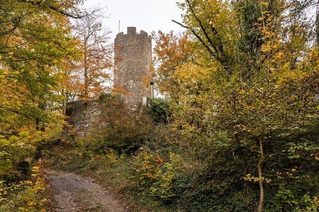 Freiburger Wahrzeichen – Turm der Zhringer Burg ffnet Mitte November