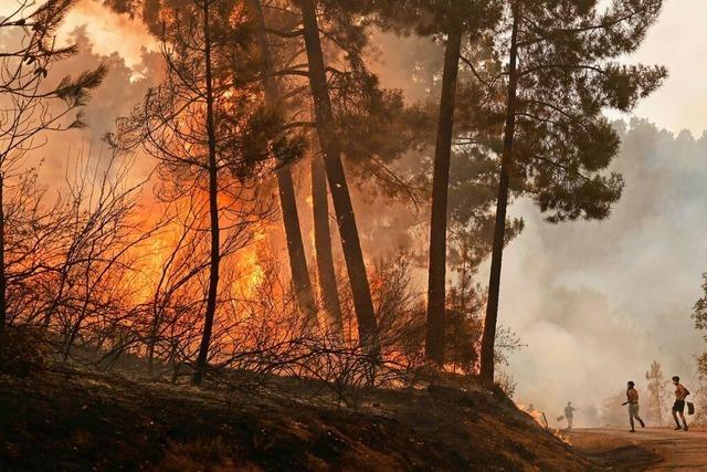 Die Bekmpfung von Brnden wird fr die Feuerwehren weltweit immer kniffliger