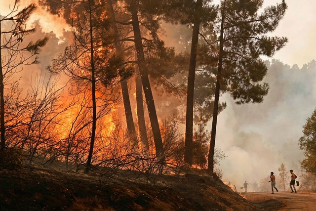 Ein Waldbrand in Spanien.  | Foto: Lalo R. Villar (dpa)