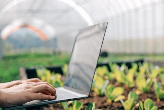 Wie smarte Bewsserungssysteme und Mhroboter den Garten pflegen