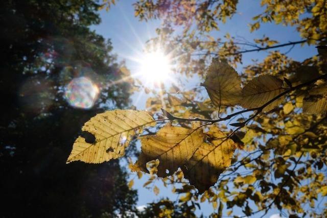 Die Sonne macht berstunden: So war das Wetter im Oktober in der sdlichen Ortenau