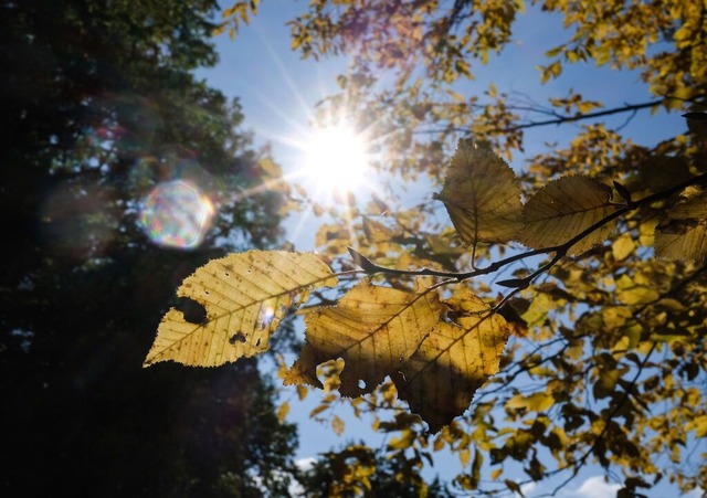 Mild mit Sonnenschein war der Oktober  | Foto: Bernd Weibrod (dpa)