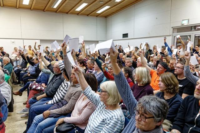 Brgerinitiative will Planfeststellung zum Polder Wyhl/Weisweil vor Gericht zu Fall bringen