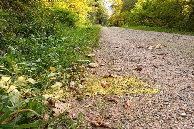 Babyleiche in Maulburg: Fall wird bei Aktenzeichen XY ungelst gezeigt