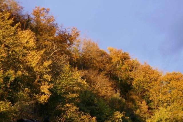 Der goldene Oktober in Bad Sckingen endet strmisch