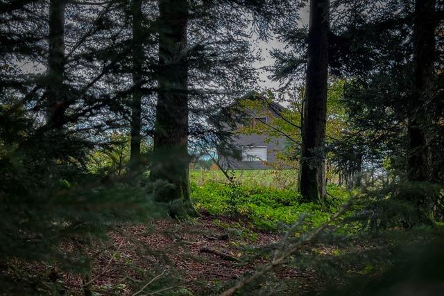 Zerstckelte Leiche in  Rickenbach: Wird der Fall vom Bundesgerichtshof neu aufgerollt?