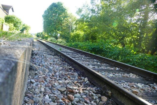 Die Grnen in Kandern kritisieren Weil am Rhein wegen Ablehnung der Kandertalbahn