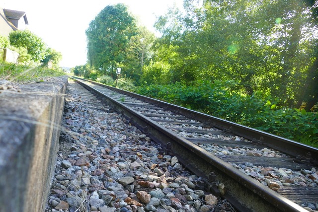 Die Reaktivierung der Kandertal-S-Bahn bleibt ein umstrittenes Thema.  | Foto: Paula Khn