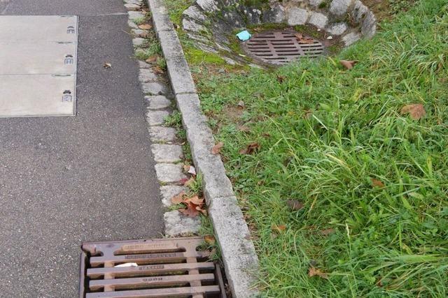 In Rheinfelden-Karsau diskutiert man ber die Unkrautbekmpfung mit Spritzmitteln