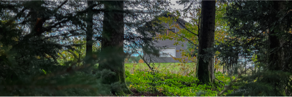 Zerstckelte Leiche in Rickenbach: Wird der Fall vom Bundesgerichtshof aufgerollt?