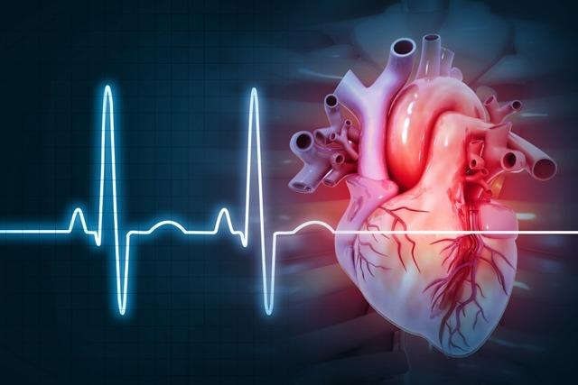 Freiburger Forscher entdecken Ursache fr pltzlichen Herztod
