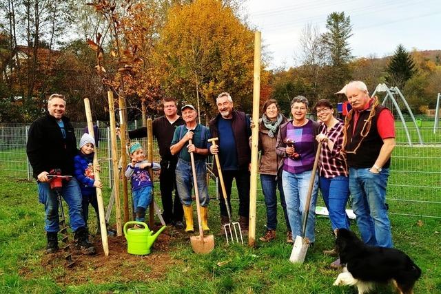 Der Verein "Wald schafft Zukunft  – Dossenbach" pflanzt elf neue Bume am  Kinderspielplatz