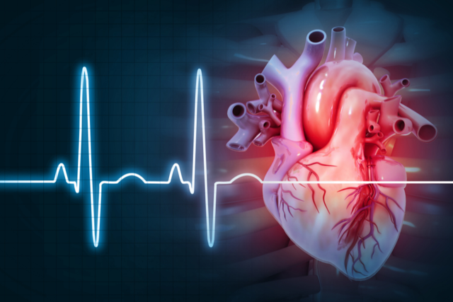 Freiburger Forscher entdecken eine Ursache fr pltzlichen Herztod
