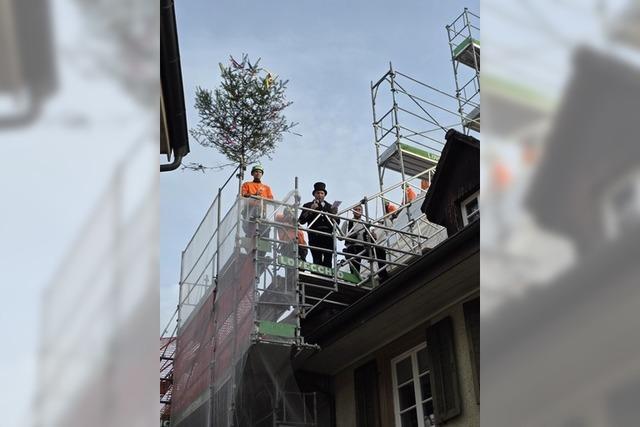 Das Laufenburger Museum Schiff hisst seine Segel