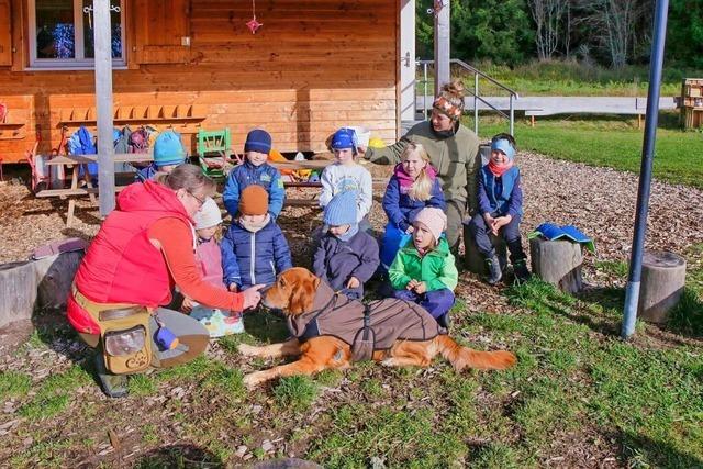 Die Kinder werden im Waldkindergarten Grafenhausen fr die Natur sensibilisiert