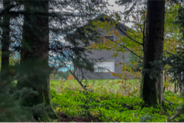 Zerstckelte Leiche in Rickenbach: Wird der Fall vom Bundesgerichtshof aufgerollt?