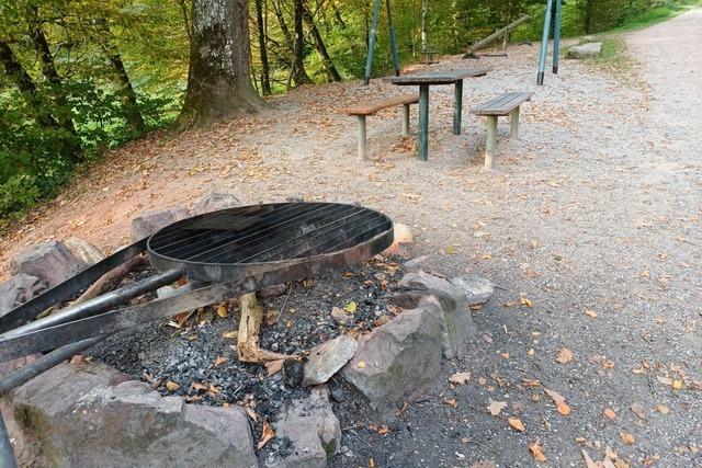 Babyleiche in Maulburg: Neue Details bei "Aktenzeichen XY Ungelst"