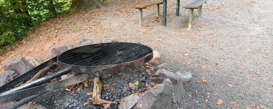 Babyleiche in Maulburg: Neue Details bei "Aktenzeichen XY Ungelst"