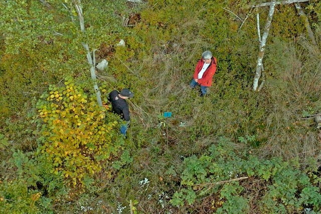 Den Baum selbst zu pflanzen, ist fr viele Trauernde ein trstlicher Gedanke.  | Foto: OrangeBox
