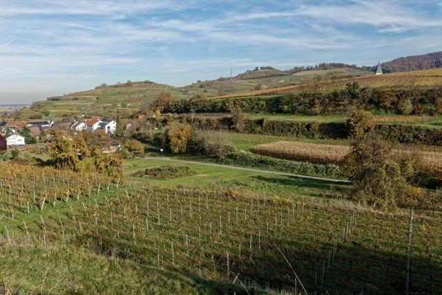 Baugebiet in Endingen noch in Planung – dennoch sollen einige Eigentmer schon Grundsteuer B bezahlen