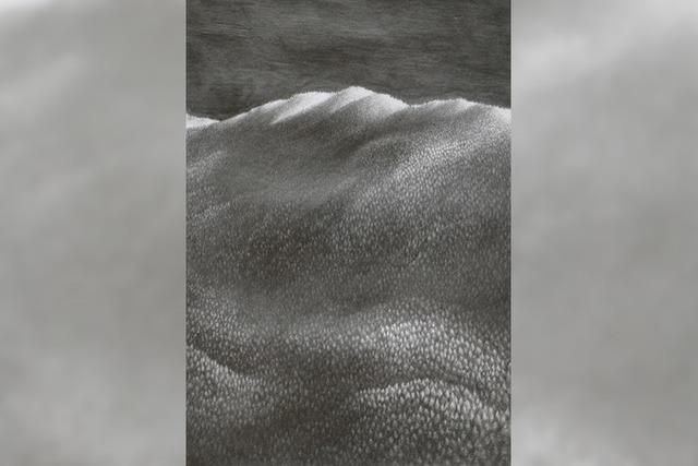 Extremist der Przision: Eberhard Brgels Abschiedsausstellung in Freiburg