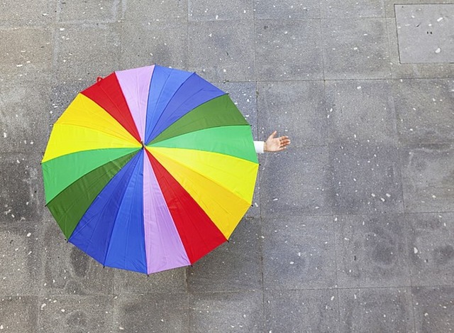   | Foto: cristovao31 (stock.adobe.com)