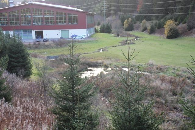 Die Klranlage von Eisenbach hat mit einem Biberdamm zu kmpfen