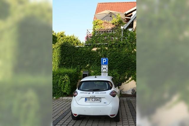 Beim Markt der Mglichkeiten in Vogtsburg erfahren Brger, wie sie klimafreundlich vorwrtskommen