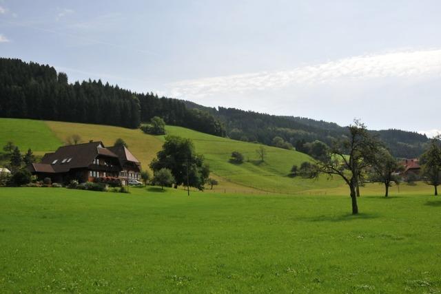 Brgermeisterwahl in Oberwolfach: Kandidat zieht zurck und erhebt schwere Vorwrfe