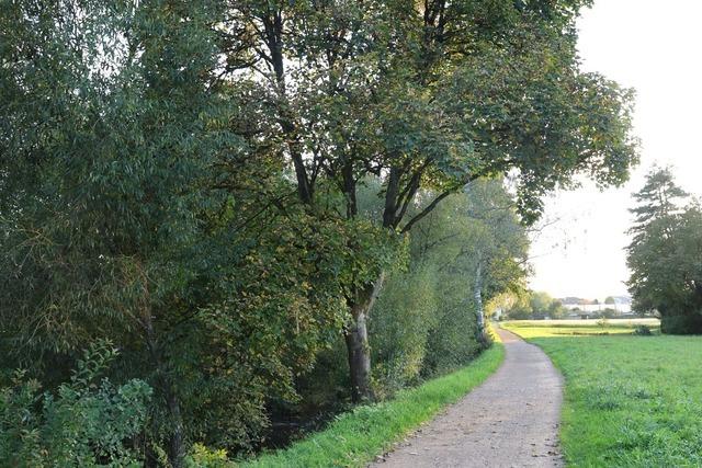Lrrach will den Fu- und Radverkehr gemeinsam denken, aber trennen