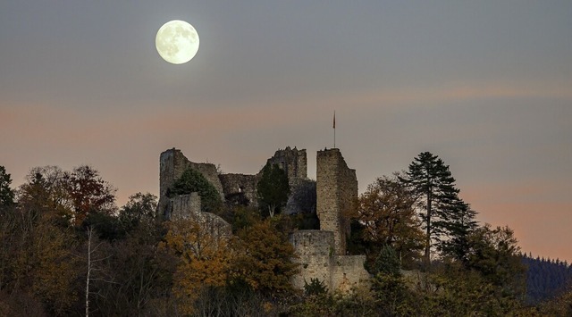   | Foto: Jasmin Senft