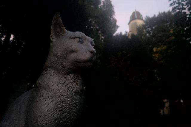 Katerstimmung im Bad Sckinger Schlosspark