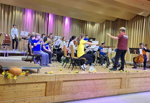 Die Jugendkapelle Willaringen begeisterte beim Herbstkonzert.  | Foto: Verein
