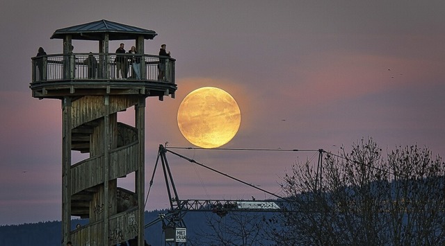   | Foto: Peter Lewald