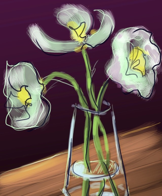   | Foto: Martin Sander