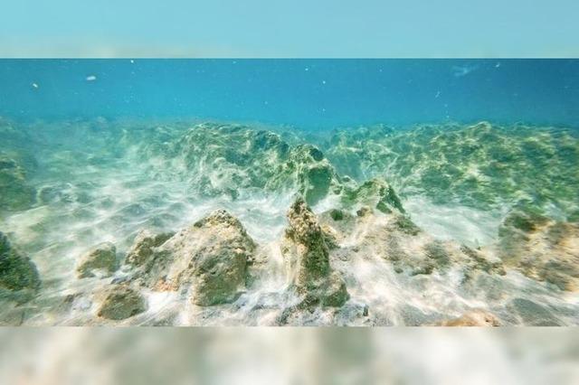 Rettung in der Wassernot