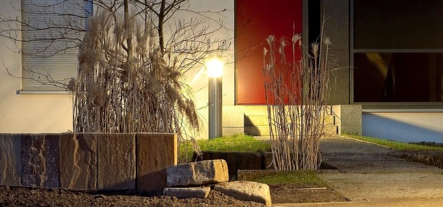 Sorgt fr Sicherheit: So schn knstli...n nchtlichen Lebensraum vieler Tiere.  | Foto: Kai Remmers/dpa