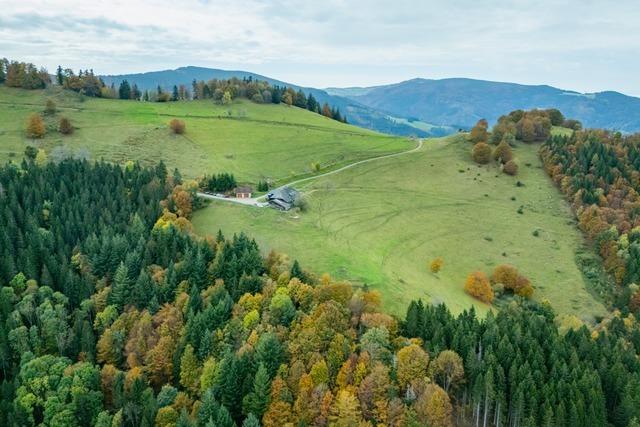 Das Dreisamtal wirbt mit authentischer Natur fr sich