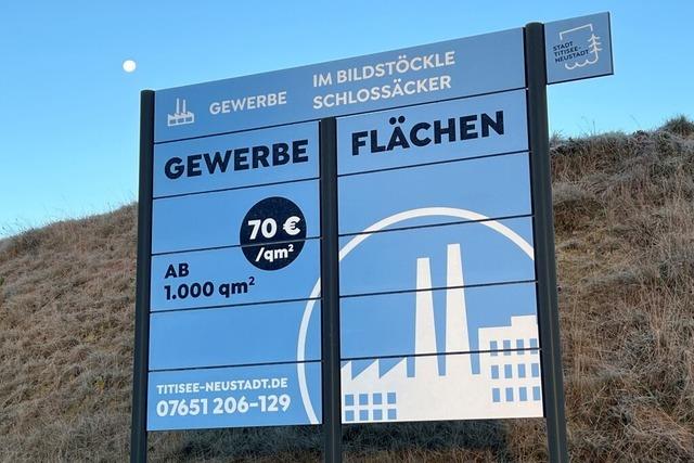 Titisee-Neustadt muss sich die Frage stellen, was es sich noch leisten kann und will