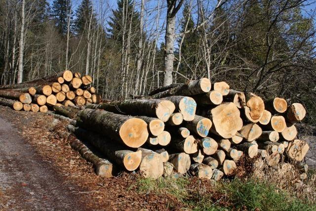 Todtmooser Forstwirtschaft erzielt Gewinn mit Holzernte 2024