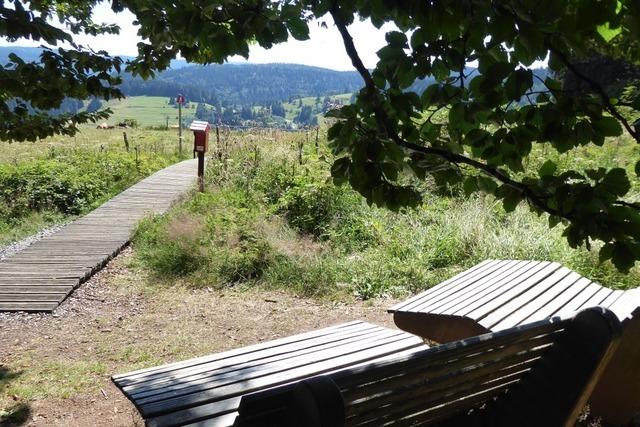 Neuer Wanderweg in Todtmoos verbindet Natur und Kultur auf 10,5 Kilometern