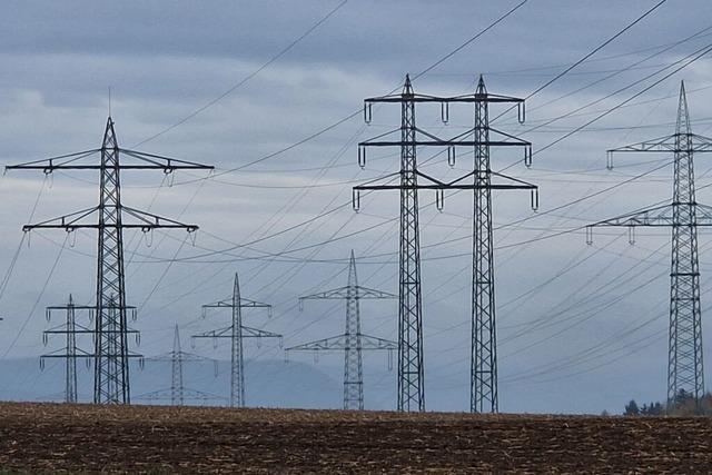 Transnet bessert bei Stromtrasse bei Gurtweil nach, dennoch gibt es noch viele Fragen