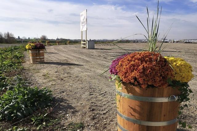 Herrenknecht hat eigene Kbel aufgestellt