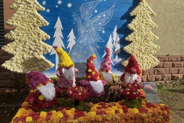 Das sind die sagenhaft schnen Bltenwagen der Lahrer Vereine