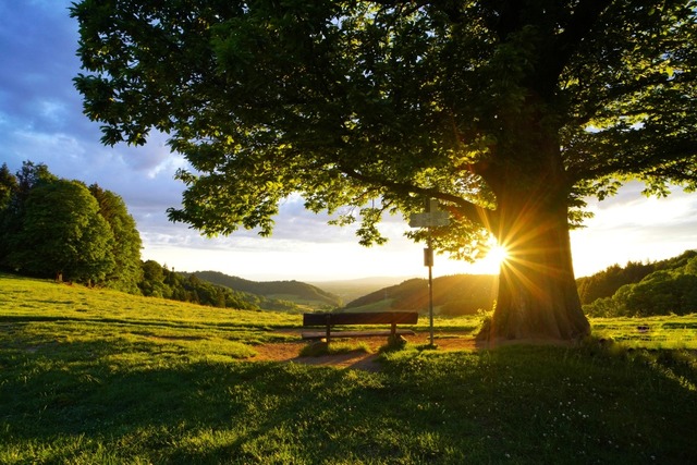 Abendstimmung im Windtaler Eck  | Foto: Thorolf Clemens