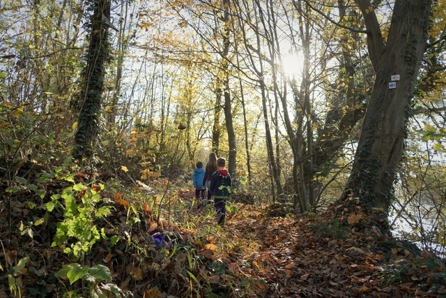 Auenlandschaft auf dem Elzpfad  | Foto: Silke Kohlmann