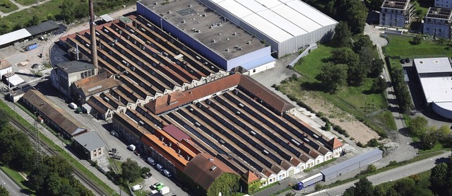 Im Lauffemhle Areal wird das erste kl...erbegebiet in Holzbauweise entwickelt.  | Foto: Erich Meyer