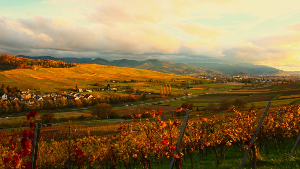 „Die Sonne verschwand gerade langsam hinter dem Batzenberg, als ich in der Hhe von Pfaffenweiler war“, schreibt Harald Hfler zu seinem Foto.