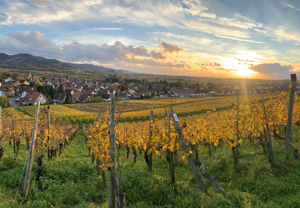 Felix Paulo aus Kirchhofen fotografierte die Herbststimmung ber Ehrenstetten vom Ehrenstetter Weinfass aus.